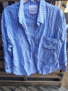 Alexia Admor Men’s Blue Striped Button-Up Shirt